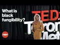 TikTok’s love-hate relationship with Black culture | Awa Sanneh | TEDxTorontoMetU