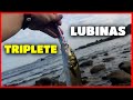 Vlog | Triplete de lubinas a spinning en Baiona (Galicia)