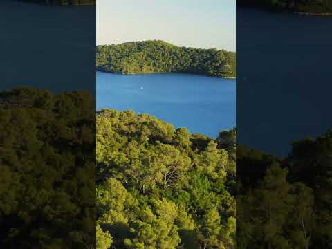Pine forest on the Adriatic Sea in Croatia, Mljet #mljet #croatia #hrvatska #adriatic #adriaticsea