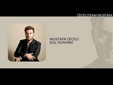 Mustafa Ceceli-Gül Dünyam