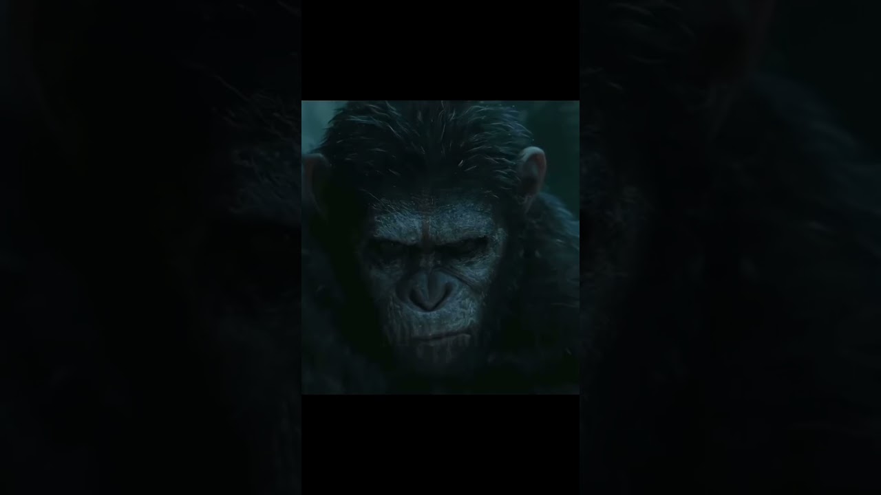 The Best Character OAT 🐐🔥