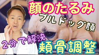 ブルドッグ顔脱出 Youtube