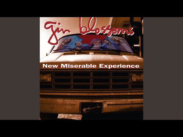 Gin Blossoms - Hands Are Tied