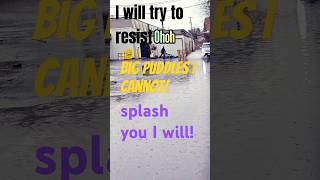 I tried to resist! Splash you I will!