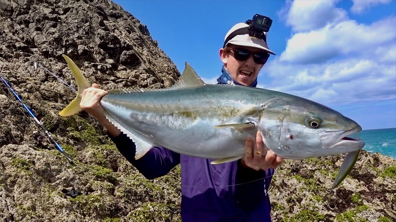 Rock Fishing North New Zealand Kingfish YouTube