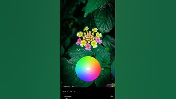 ||Lightroom green leaves editing|| #shorts #editing