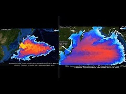 wto-&-tokyo-overrules-south-korean-ban-on-seafood-imports