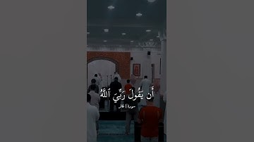 سورة غافر / جمال الصوت والتلاوه ماشاءالله ♥️