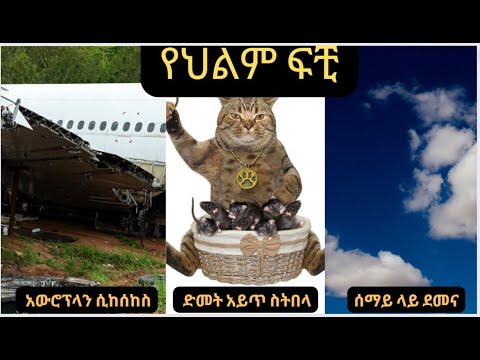ሰማይ ላይ ደመና ድመት አይጥ ስትበላ አውሮፕላን ሲከሰከስ
