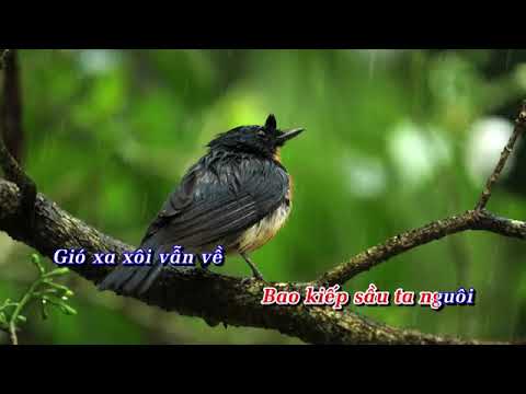 Karaoke Giọt mưa thu   Khánh Hà Đặng Thế Phong