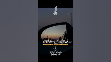ايه   الكرسي   القارئ    الشيخ   ياسر الدوسري   #  اكسبلور