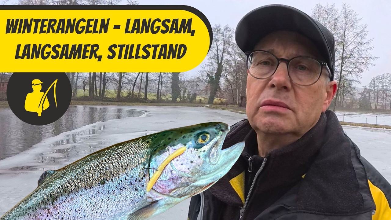Forellen im Winter - langsam, langsamer, Stillstand