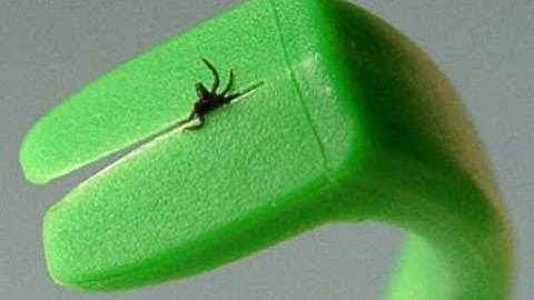 Tick Twister Safest Tick Removal Tool