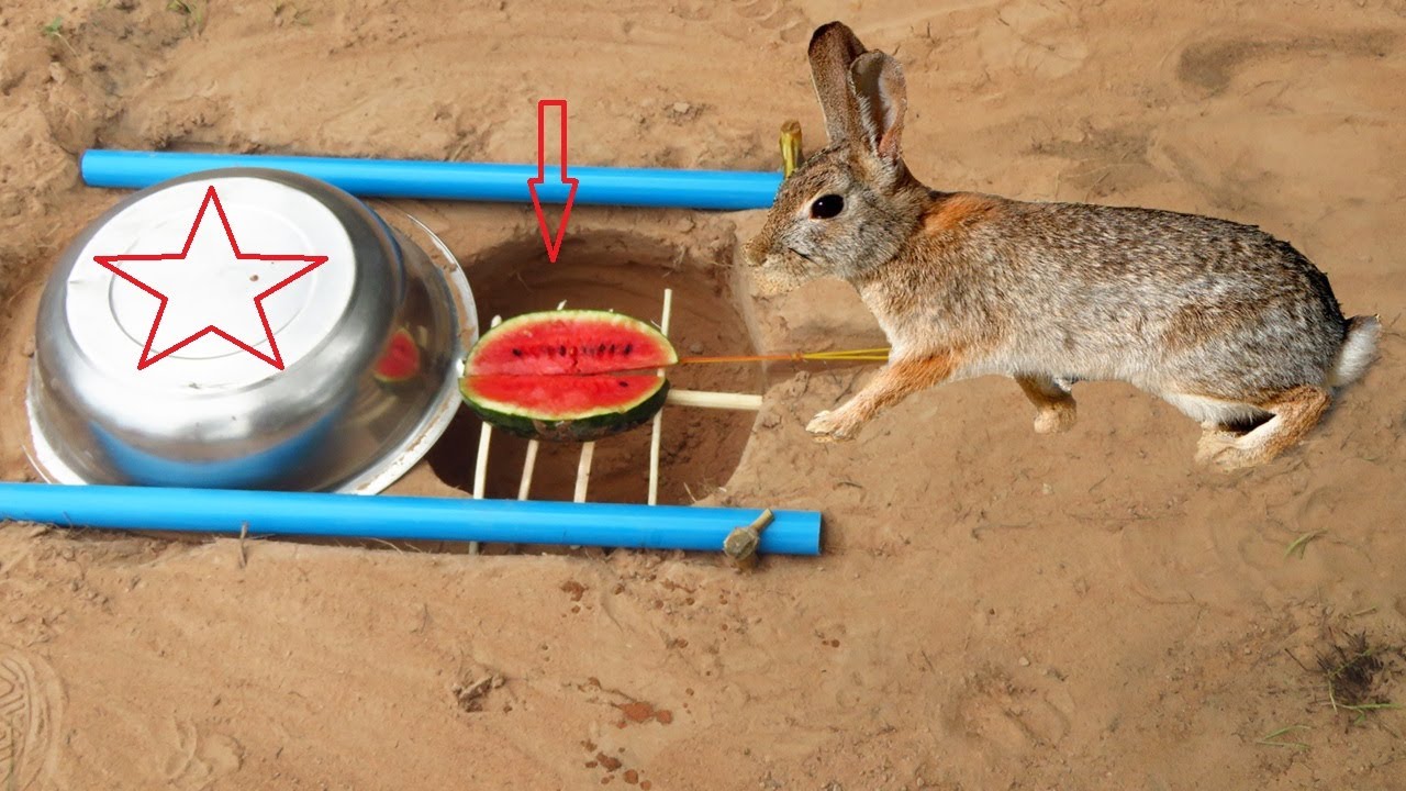 Wow Man Make Quick Rabbit Trap Using pots & Deep Hole ( Works 100