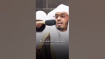 " والشعراء يتبعهم الغاوون " سورة الشعراء ( 223 : 227 ) الشيخ ياسر الدوسري