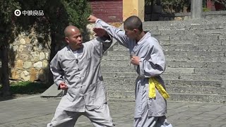 Shaolin Kung Fu: small Luohan 18 hands combat applications