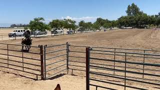 Cowboy Mounted Shooting on Bo