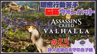 【脳筋アサクリ23】ASSASSINS CREED VALHALLA 【#こむらいぶ】