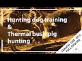 Hunting Aotearoa S01E06 - Hunting dog training & Thermal bush pig hunting