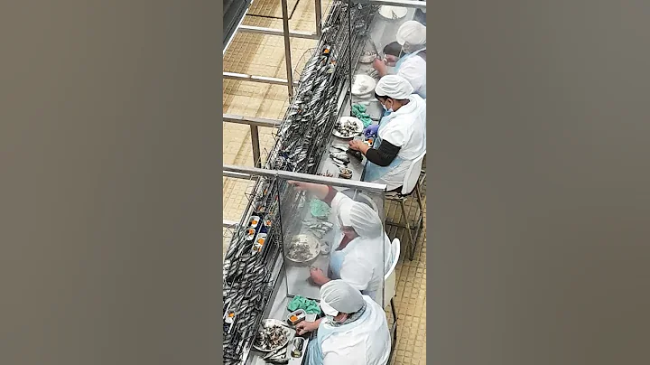 Portuguese Sardine Cannery #shorts #Portugal
