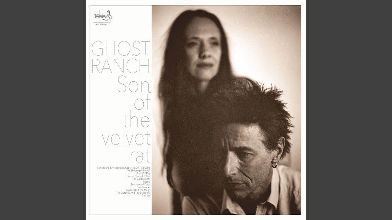 Watch Cicadas on YouTube Watch Cicadas on YouTube