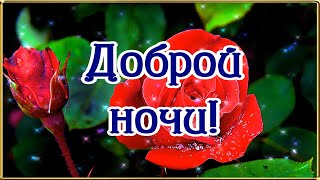 Доброй Ночи! Чудесных Снов!🌙⭐