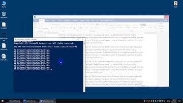 Microsoft office 2019 arbitrary code execution - Local Impact