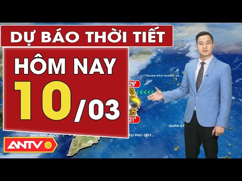 Dự báo thời