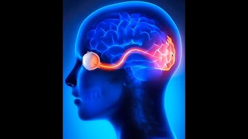 Dork Cast Episode 6 - Storytelling