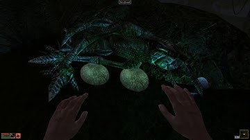 SovietWomble Stream - The Elder Scrolls III: Morrowind 08.04.2018 A prisoner born on a certain day