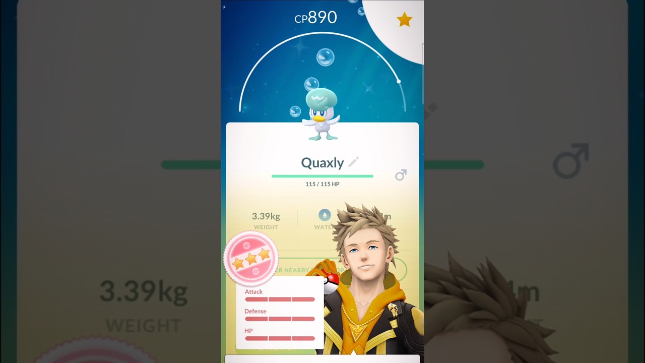 ✨💯SHUNDO QUAXLY💯✨ 