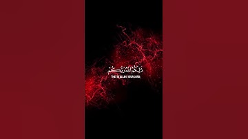تلاوة هادئة|| رعد محمد الكردي #تلاوات #قرآن #راحة_نفسية #رعد_الكردي #عبدالرحمن_مسعد #اكسبلور