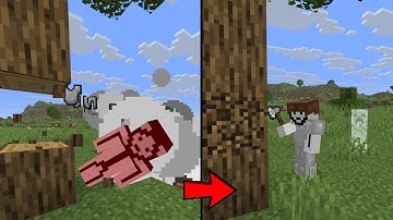 Minecraft, But I Can Rewind Time