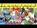 BIG KABADDI STOPS MUSHARAF JANJUA IN INDIA | KABADDI VIDEOS