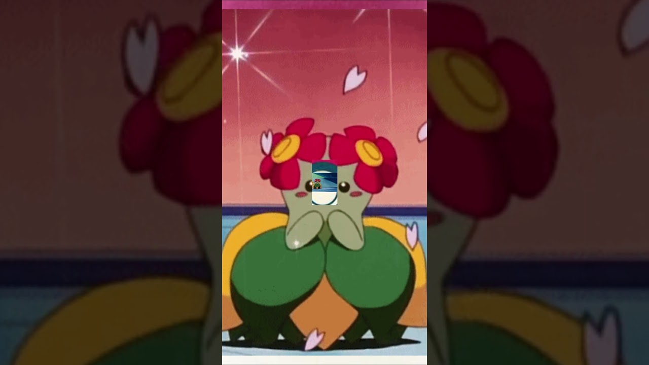 Pokerag - 📣 POKÉMON DO DIA O #182 é o Bellosom, Pokémon Flor do