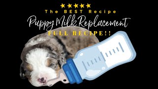 How to make the BEST Puppy Milk Replacement Formula Recipe , Feeding Newborn puppies HEALTHY Milk