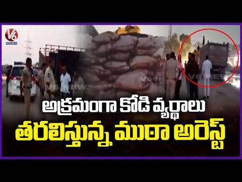 Police Officials Arrested Gang illegally Smuggling Chicken Waste | V6 News - V6NEWSTELUGU