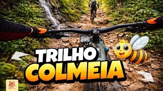 MTB Monsanto: Trilho da Colmeia  (Completo)