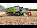 Уборка пшеницы 2023г, в Германии!  Комбайн Claas Lexion 770.