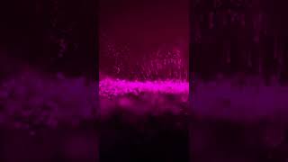 Pink Dust particles Background | HD #music #soundtrack #3danimation #wallpaper #reels #shorts