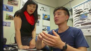 BBC The Travel Show - Hong Kong Dolphins