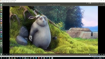 Video player in Ubuntu demo