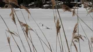 Black River Quick Edition