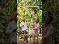 जामुन तोड़ने का सबसे स्मार्ट तरीका😱 🍇 #shorts #farming #desijugaad #villagelife #smartwork #machine