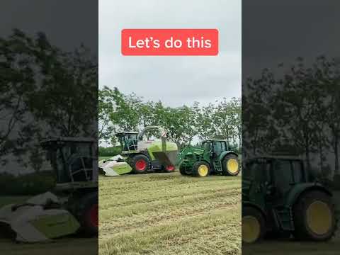 Gomiero Farm Have