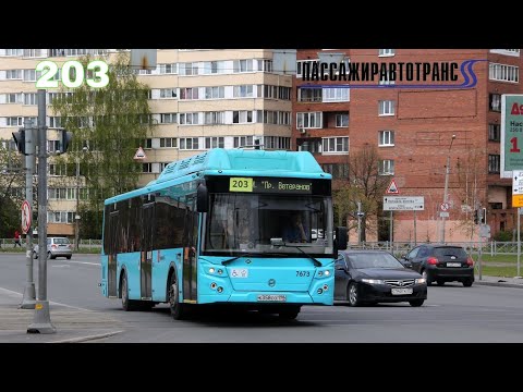 1.06.23 Автобусный маршрут 203 борт. 7671 в Санкт-Петербурге.