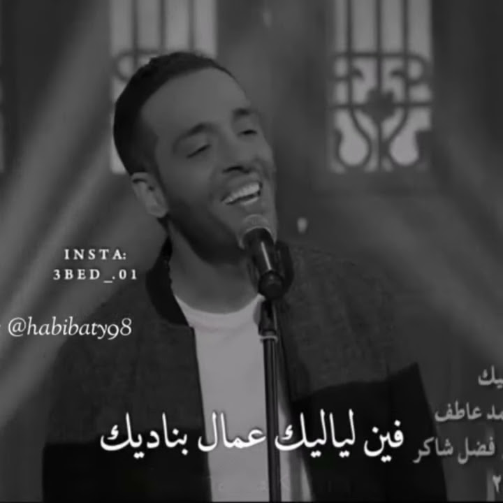 Lagu Arab terjemah  فين ليالك | fii liyali #viral #arabian #rindu #storywa