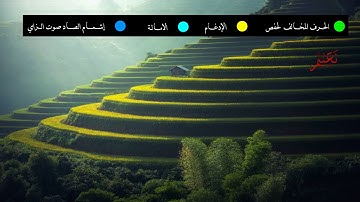 سورة يوسف  برواية أبي الحارث عن الكسائي القاري عبد الرشيد الصوفي