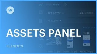 Assets Panel - Webflow tutorial