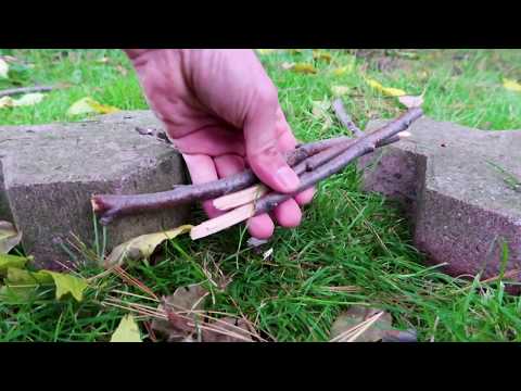 How-to Efficiently Process Twigs To Fuel A Twig Stove For Emergency Survival Tutorial